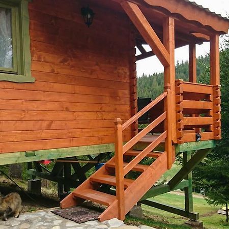 Zărneşti Cabana Casa Craita מראה חיצוני תמונה
