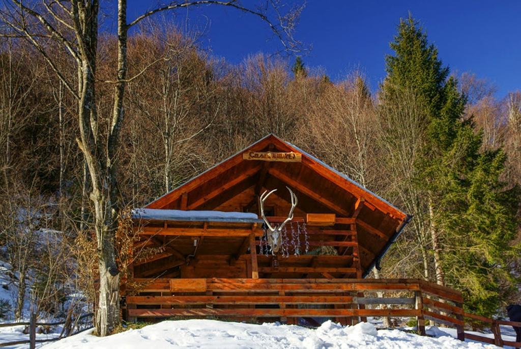 Zărneşti Cabana Casa Craita חדר תמונה