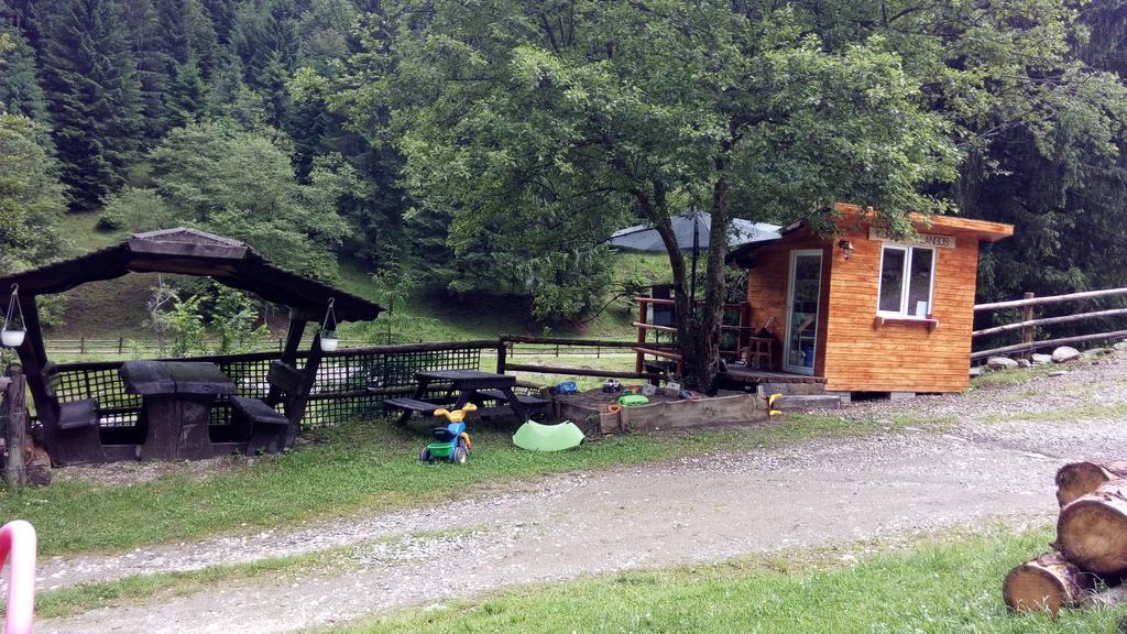 Zărneşti Cabana Casa Craita מראה חיצוני תמונה