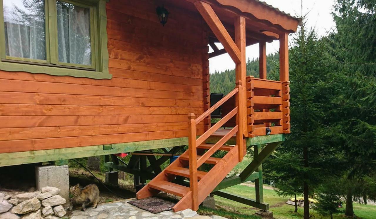 Zărneşti Cabana Casa Craita מראה חיצוני תמונה