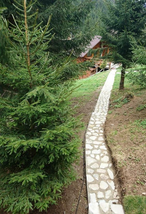 Zărneşti Cabana Casa Craita מראה חיצוני תמונה