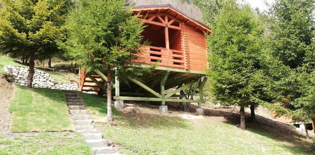 Zărneşti Cabana Casa Craita מראה חיצוני תמונה